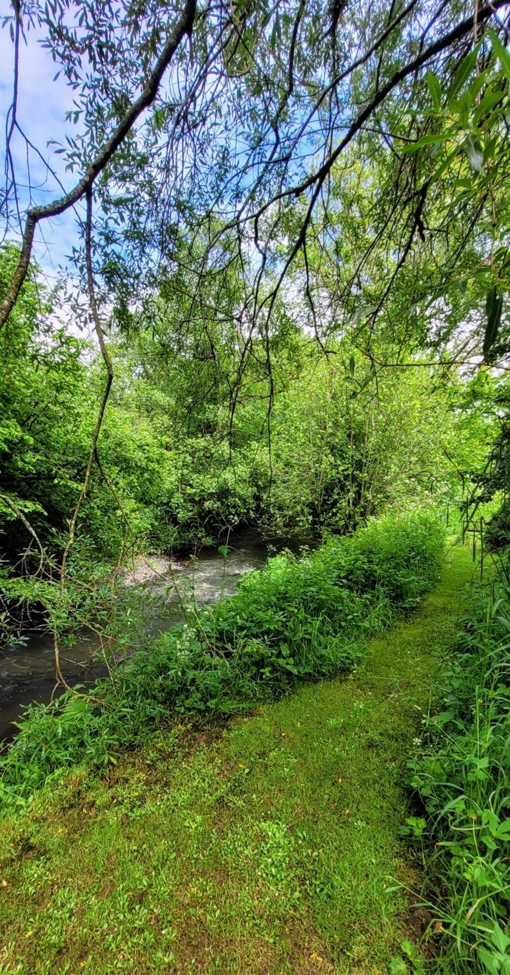 Kingsley - Beautiful Riverside Setting Beaworthy